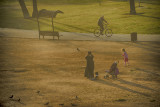 Dusk in the Park