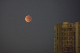 The Blood (Harvest)Moon in Tel Aviv