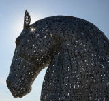 Kelpie in silhouette.