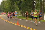 IMG_1083 South Lawson Dr 13dot1 - 2015.jpg