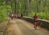 IMG_1165 HillsideRd 13dot1 2015.jpg