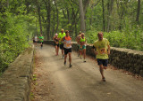 IMG_1187 HillsideRd 13dot1 2015.jpg