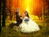 Wedding Photo