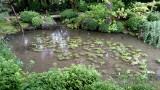 IMG_20160918_120224906 1280x720.jpg