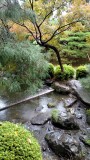 IMG_20160918_125307959 720x1280.jpg