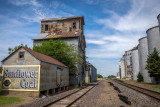 Wilson KS 2013           10.jpg