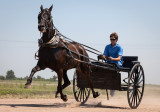 Yoder Heritage Day 01c.jpg