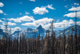 Sun Road 15.jpg