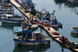 Fishermens Harbor - Mle de Pche, Alger