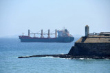 Cargo ship Pochard (St. Johns) anchored off Algiers