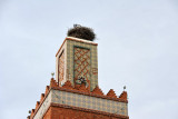 Stork nest on the minaret, Mosque Sidi Senoussi