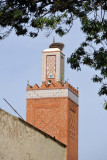 Mosque Sidi Senoussi