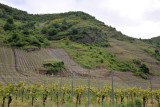 The Mosel Valley is one of Germanys most famous wine regions
