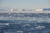 GreenlandAug13 0224.jpg