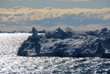 GreenlandAug13 0981.jpg