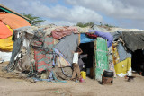 Living at the Hargeisa Livestock Market