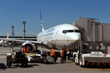 Copa B737 at GRU