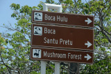 The Mushroom Forest is a famous dive site
