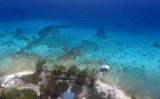 Rangiroa, French Polynesia