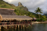 TahitiOct13 0242.jpg