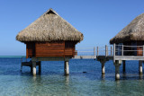 TahitiOct13 0405.jpg