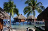 TahitiOct13 0407.jpg