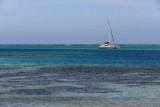 TahitiOct13 0428.jpg