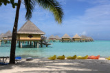 TahitiOct13 1287.jpg