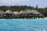 TahitiOct13 1662.jpg
