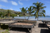 TahitiOct13 1454.jpg
