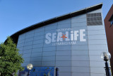 National Sealife Aquarium, Birmingham