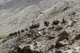 We came across this caravan an hour drive southwest of Khargoush, Tajikistan 