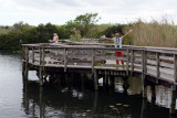 Everglades Feb14 082.jpg
