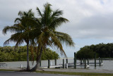 Everglades Feb14 182.jpg
