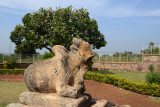 Nadi in front of the Shiva Temple Ravanaphadi