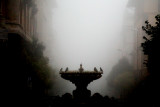 Fontana delle Rane, Fountain of the Frogs 