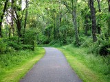 Bike Trail