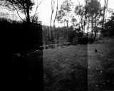 X-ray Film Tests