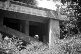 Bridge Pier