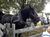 Horsepower