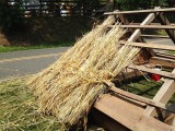 Thatched Roof