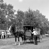 The Ice Wagon