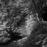 Uphill Hike