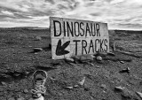 Dino Tracks and Tracker