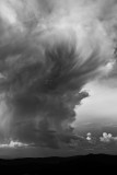 Brushed Cumulus_MAG3713 BW NN 4K Web.jpg