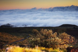 Mauna Kea