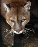 _MG_1987a 8x10dak.jpg