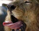 _MG_9671a 8x10kaz.jpg