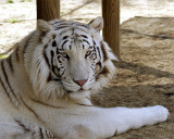 _MG_0499a 8x10gbem.jpg