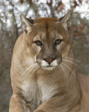 _MG_6729a 8x10dak.jpg